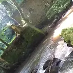 Vakantiehuis Le De L Abbaye *