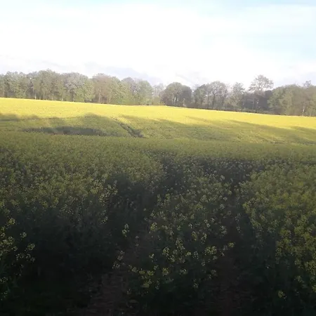 Ferienhaus Le De L Abbaye