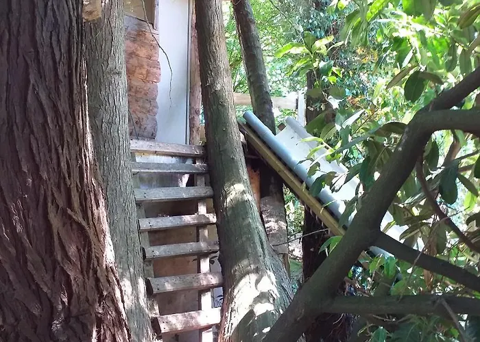 Holiday home Le De L Abbaye *