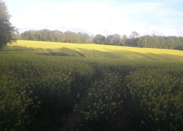 Ferienhaus Le De L Abbaye