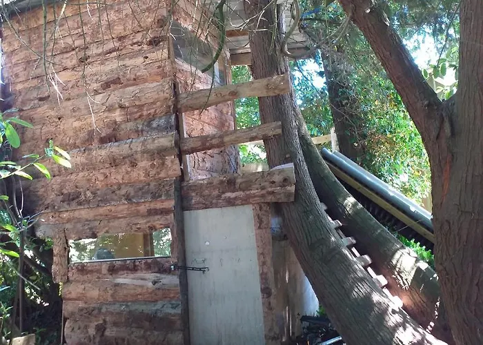 Le De L Abbaye Lonlay-l'Abbaye