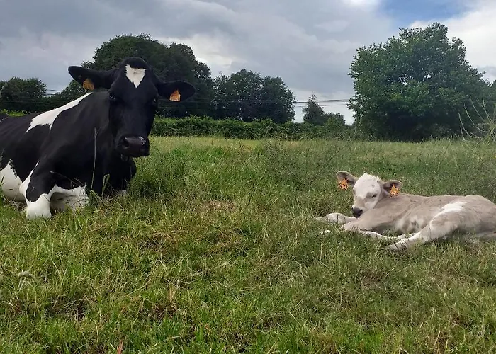 Le De L Abbaye Ferienhaus